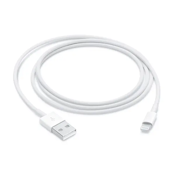 2 819 Lightning 2 Meter MD819 Apple