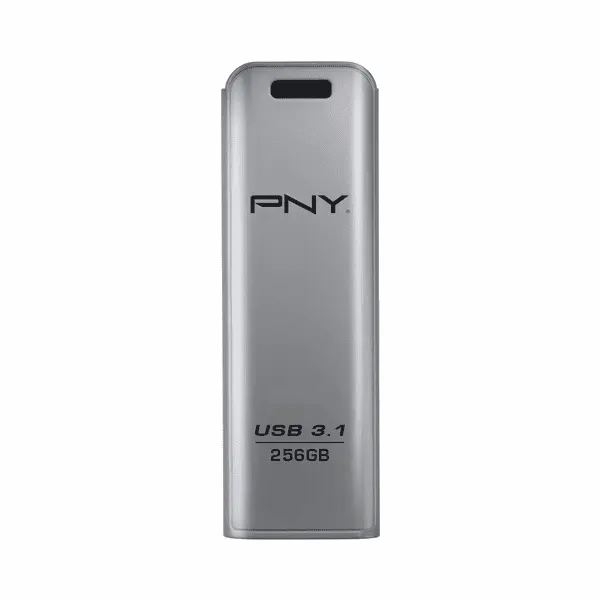 Pny Flash Drive FD256ESTEEL31G Ef 256GB Ash