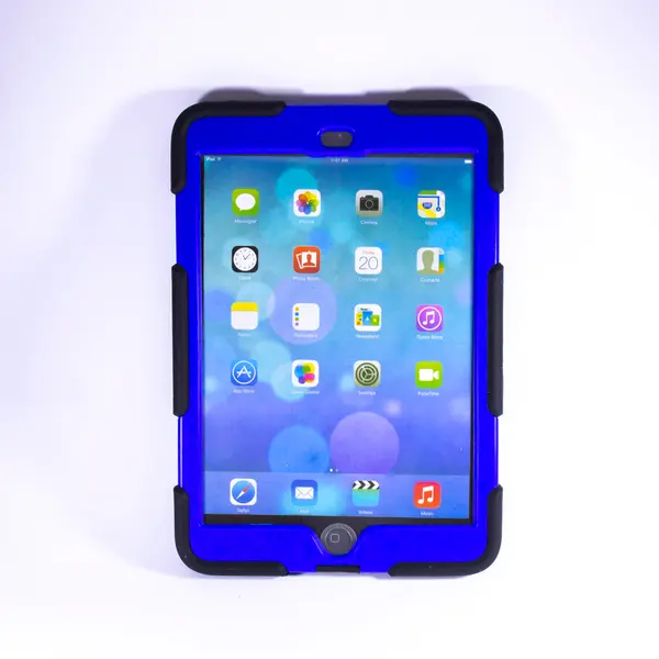 Survivor Protective Case IPADMINI3